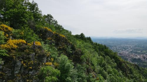 Thiers [14-05-2022](0710).jpg